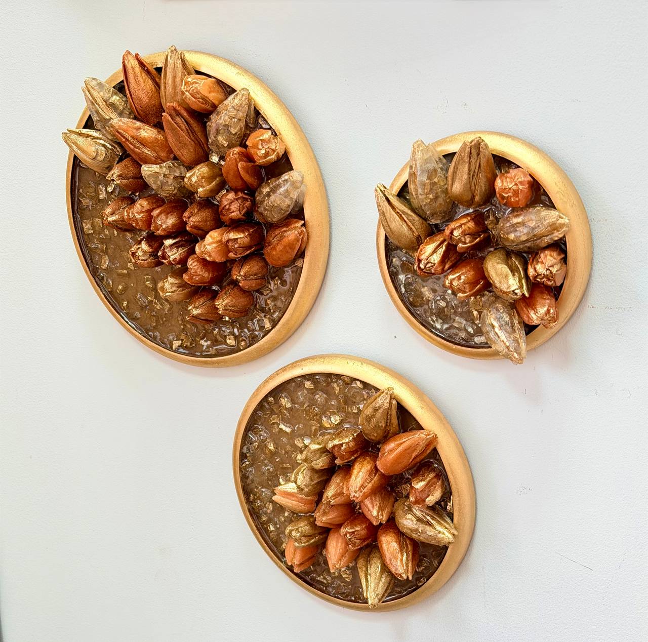 Триптих : Тюльпановая симфония  