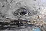 Повелитель глубин — фото 2